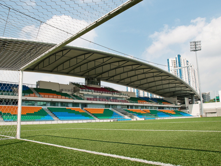 Singapore đăng cai AFF Cup, nỗi lo sân cỏ nhân tạo cho tuyển Việt Nam - Ảnh 2.