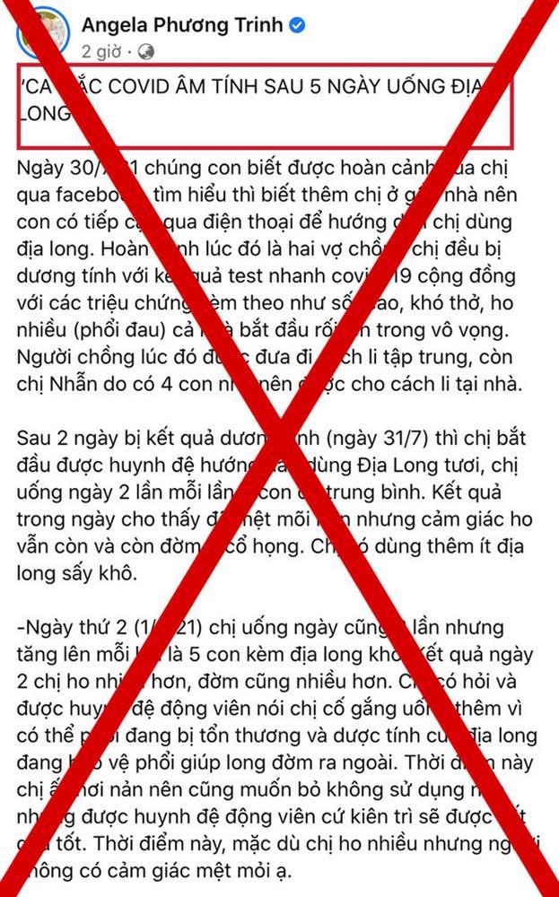 Angela Phương Trinh nhận sai vì đưa tin giun đất chữa Covid-19 - Ảnh 4.