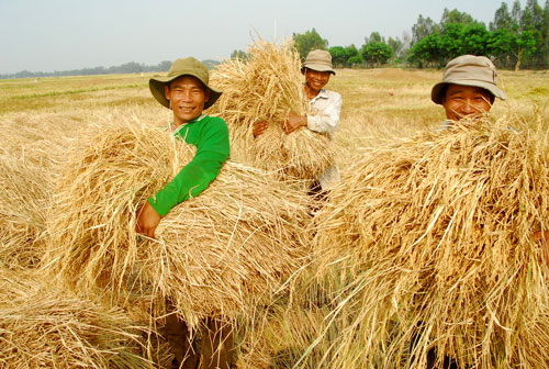 TỌA ĐÀM “TÌM GIẢI PHÁP TIÊU THỤ NÔNG SẢN: TRƯỚC MẮT VÀ LÂU DÀI”: Phát triển tam giác nhà nước - thị trường - xã hội - Ảnh 2.