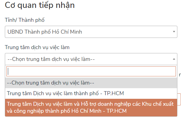 Không đủ điều kiện nhận trợ cấp thất nghiệp, người lao động nộp hồ sơ nhận hỗ trợ Covid-19 ra sao? - Ảnh 5.