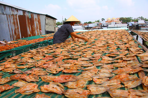 Làng nghề đặc sản rộn ràng mùa Tết - Ảnh 1.