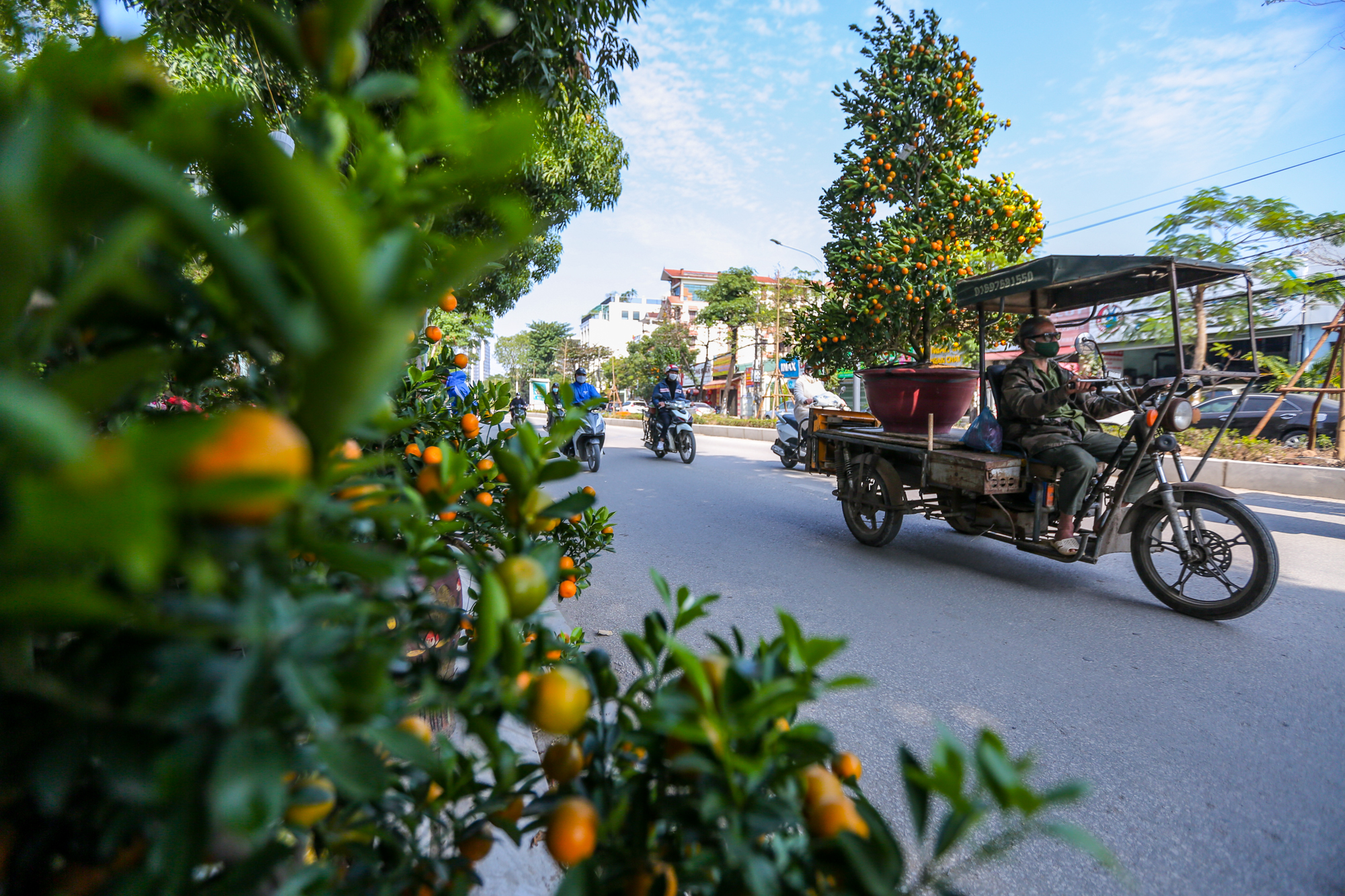 CLIP: Sức mua giảm, thị trường cây cảnh Tết ở Hà Nội ảm đạm - Ảnh 10.