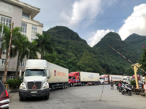 Từ hôm nay, Lào Cai tạm dừng tiếp nhận xe chở trái cây xuất khẩu Trung Quốc - Ảnh 1.