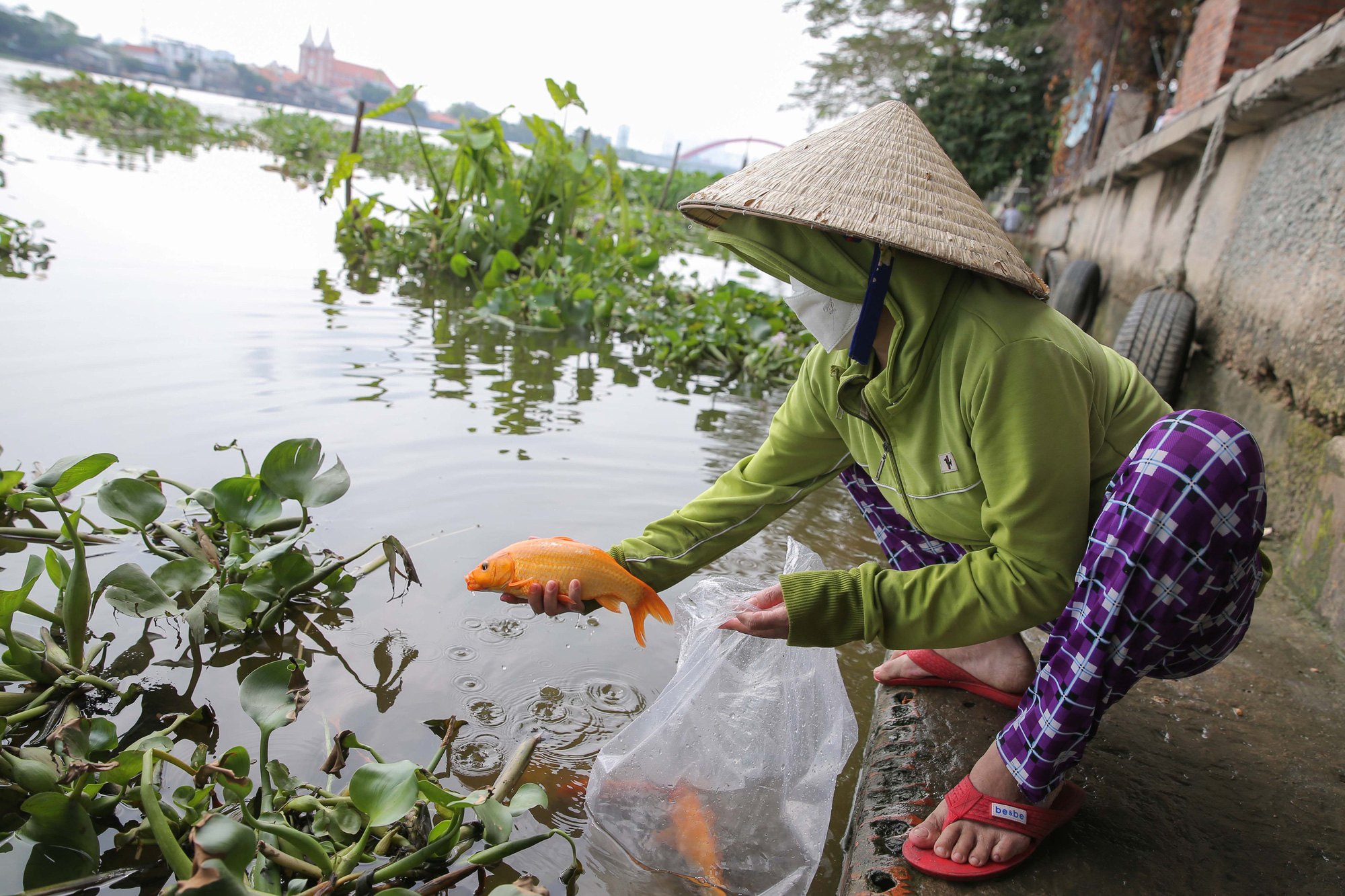 Phóng sanh ngày ông Táo về trời - Ảnh 5.