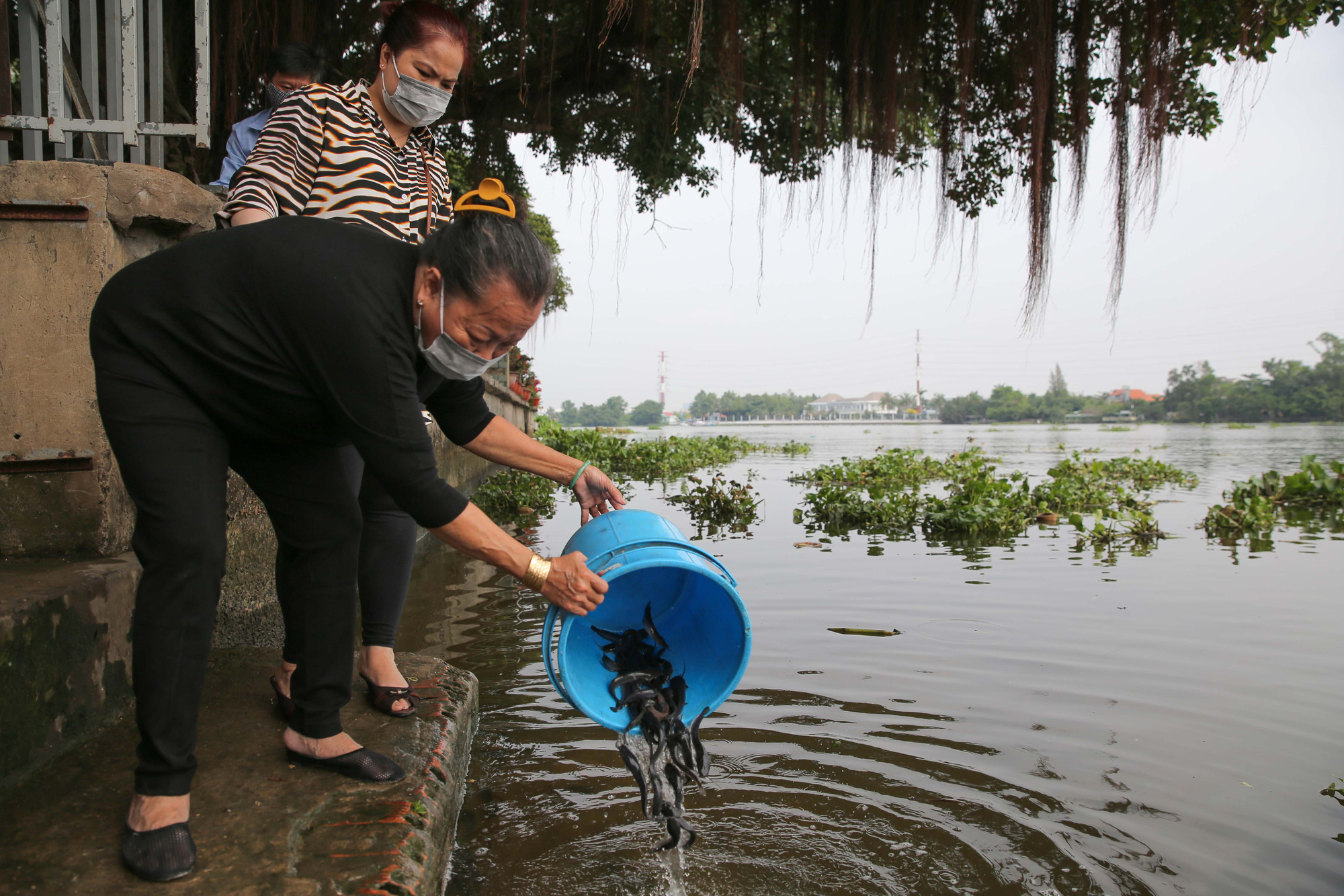 Phóng sanh ngày ông Táo về trời - Ảnh 2.