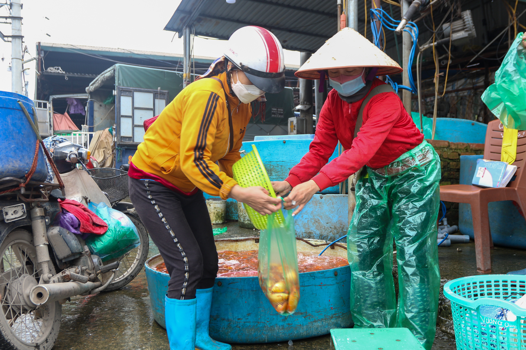 Cá đi cầu trượt trong ngày cúng ông Công ông Táo chầu trời - Ảnh 10.