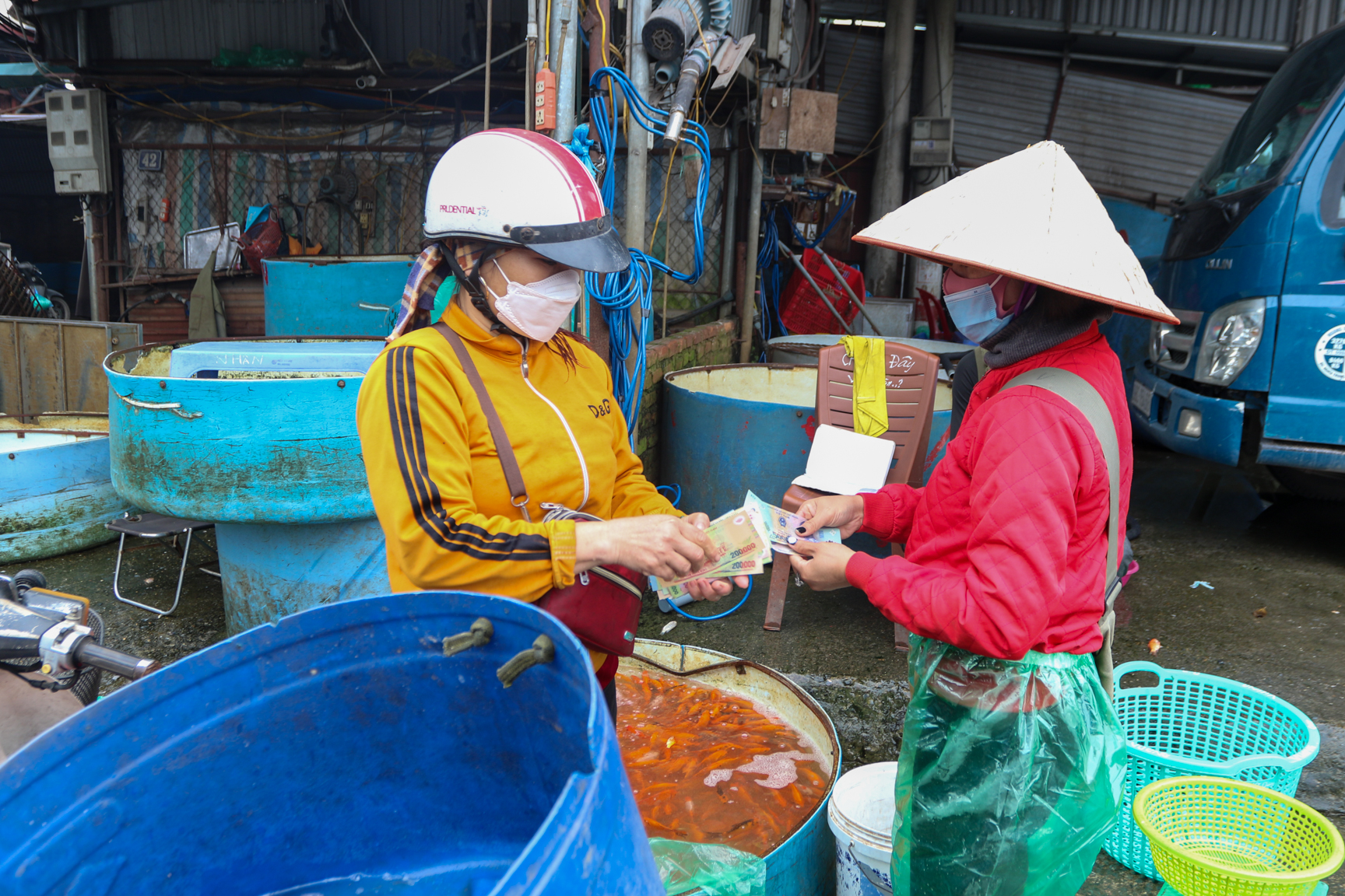 Cá đi cầu trượt trong ngày cúng ông Công ông Táo chầu trời - Ảnh 11.