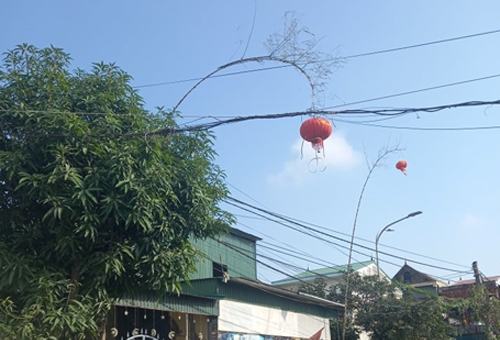 - Ảnh 2. - Ảnh 2.