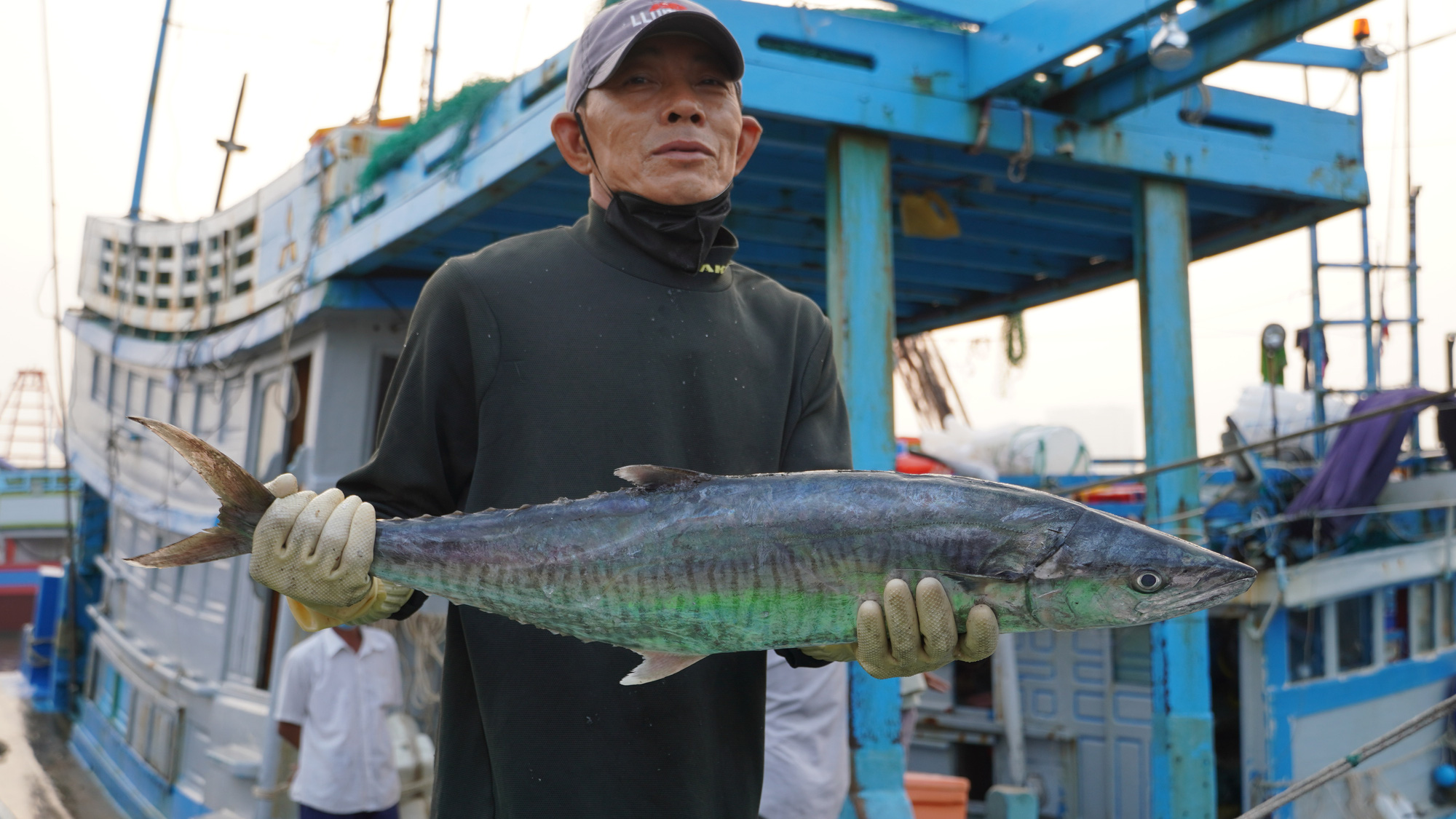 Sướng mắt với lộc biển cuối năm ở Bà Rịa- Vũng Tàu - Ảnh 8.