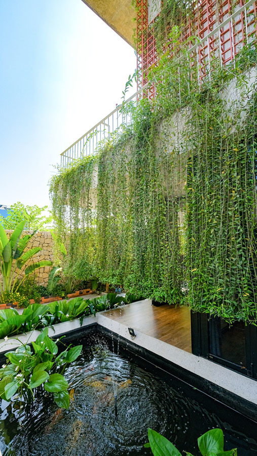 Biệt thự hiện đại 3 tầng ở Nha Trang che nắng bằng rèm dây leo - Ảnh 17.