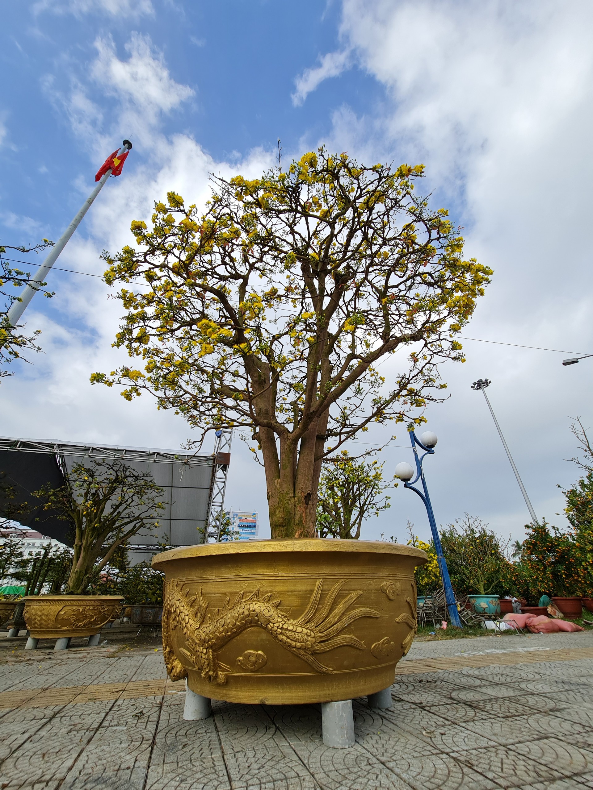 Chợ hoa Tết lớn nhất Đà Nẵng đang ế - Ảnh 4.