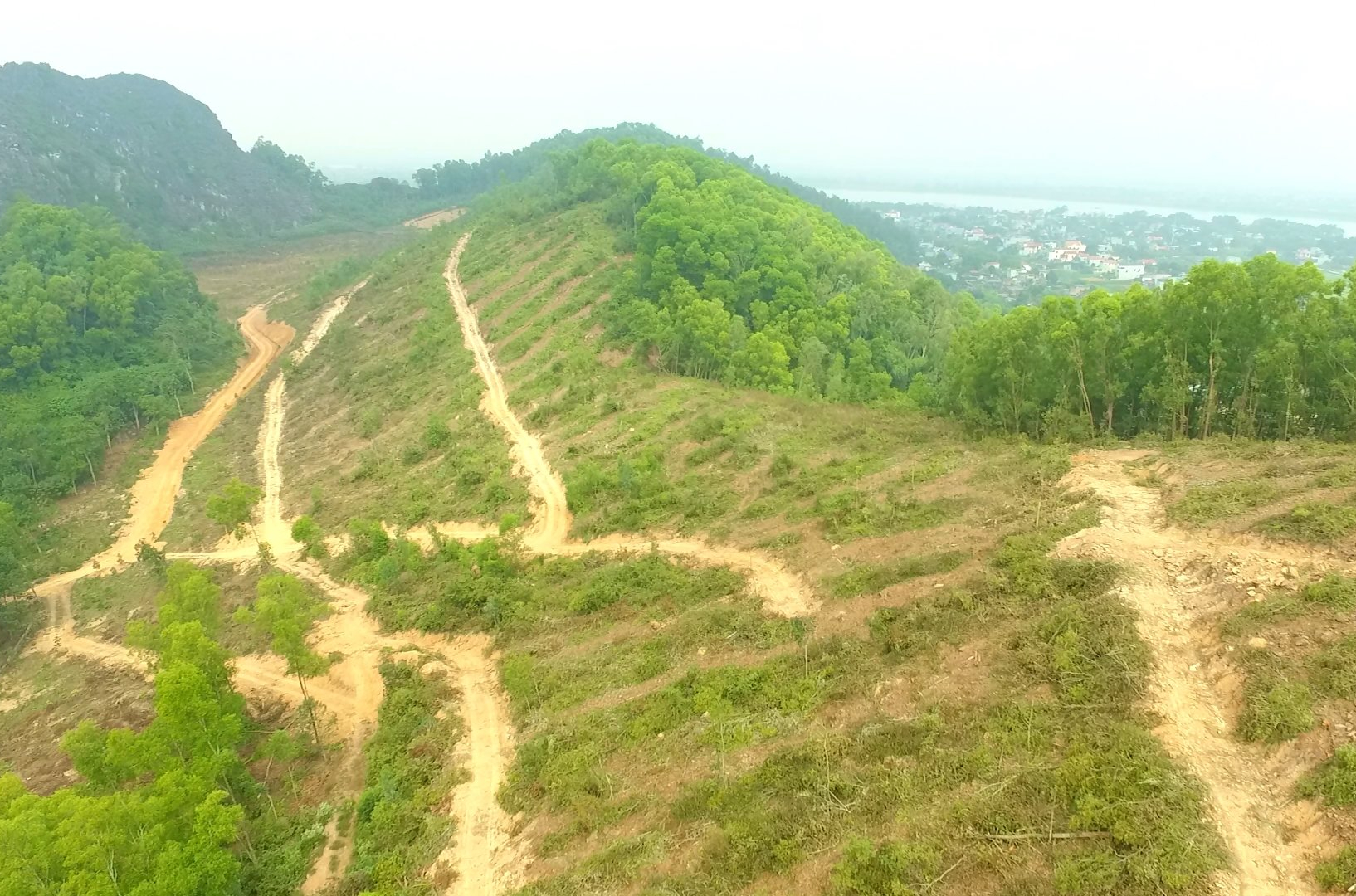 Gia Lai: Khẩn trương điều tra vụ xâm hại gần 95 ha rừng tại xã Kim Sơn - Ảnh 2.