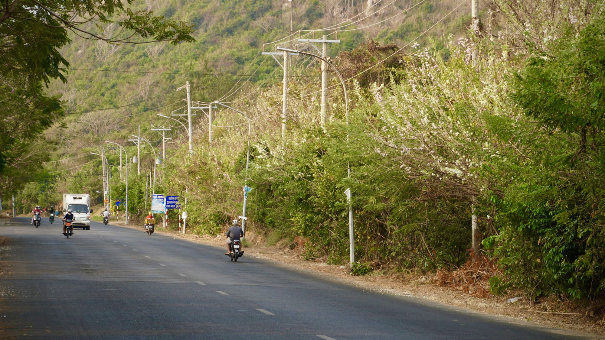 Hút hồn khi ngang qua cung đường ven biển Vũng Tàu - Bình Châu - Ảnh 3.