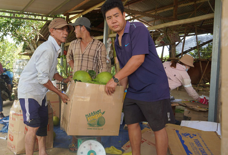 Trúng vụ bưởi Tết, nông dân thu về tiền tỉ - Ảnh 4.