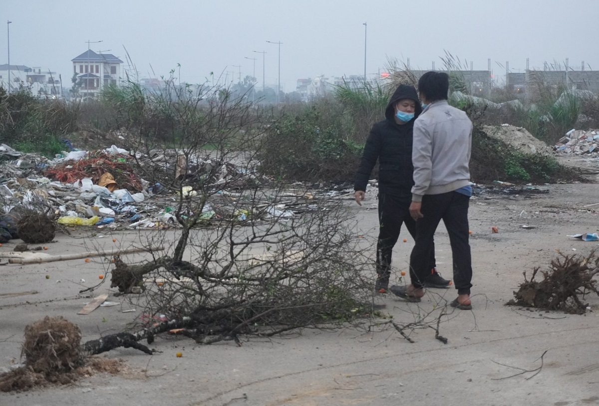 Không bán được hàng, thương lái chém bỏ đào giữa phố - Ảnh 6.