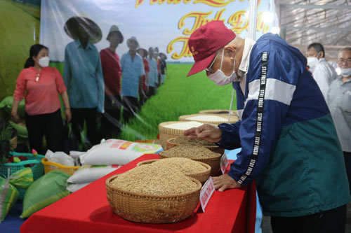Khai mạc Festival Lúa gạo Việt Nam lần thứ 5 - Ảnh 1.