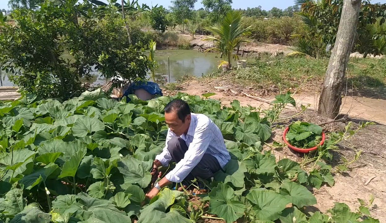 Món đặc sản U Minh nghe tên phát sợ nhưng ăn lại “ghiền” - Ảnh 2.