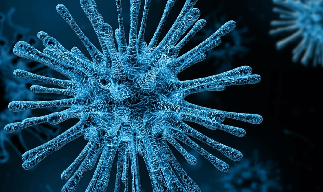 Một virus khỉ khác đang sẵn sàng để lây sang người - Ảnh 1. Một virus khỉ khác đang sẵn sàng để lây sang người - Ảnh 1.