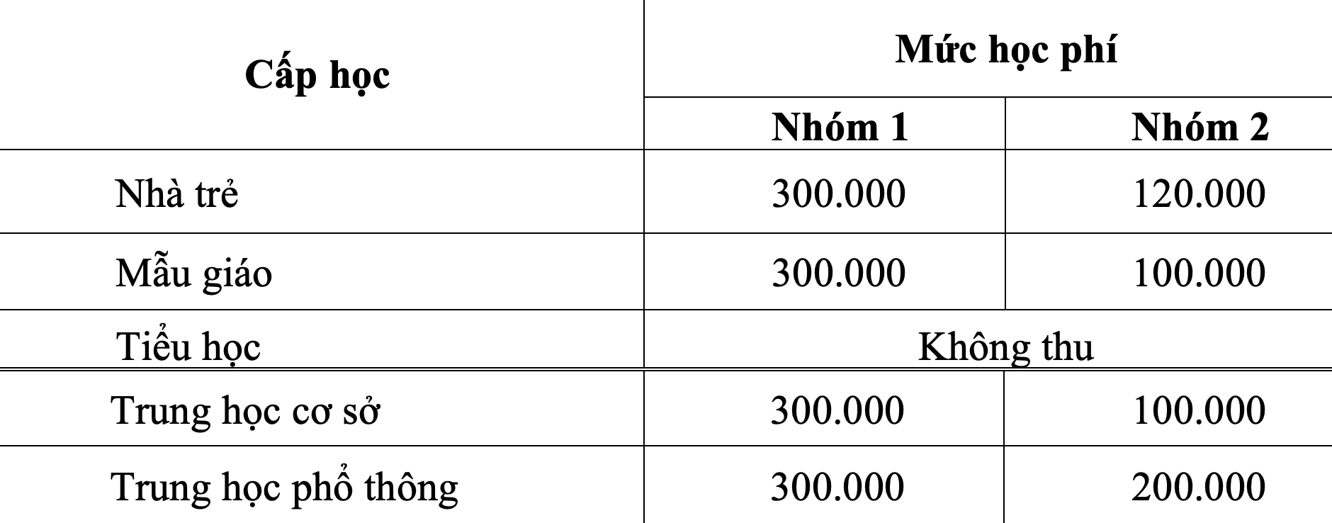 HĐND TP HCM thông qua mức học phí mới - Ảnh 1.