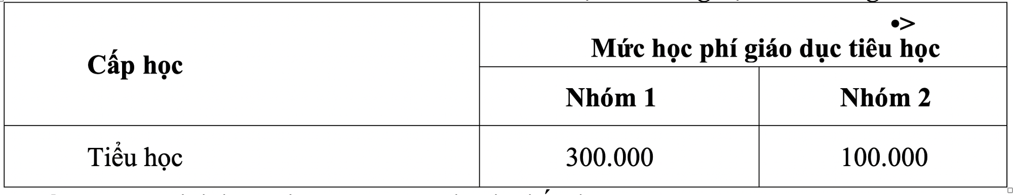 HĐND TP HCM thông qua mức học phí mới - Ảnh 4.