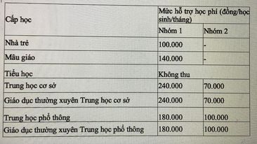 HĐND TP HCM thông qua mức học phí mới - Ảnh 6.