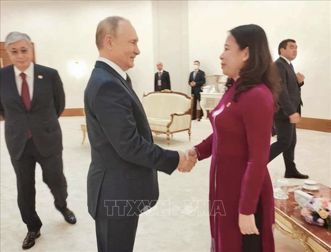 Phó Chủ tịch nước Võ Thị Ánh Xuân gặp Tổng thống Nga Vladimir Putin - Ảnh 1.