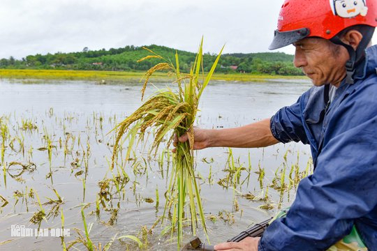 Mưa lớn khiến một ngôi làng ở Thanh Hóa bị cô lập nhiều ngày qua - Ảnh 4.