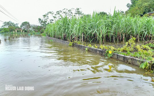 Mưa lớn khiến một ngôi làng ở Thanh Hóa bị cô lập nhiều ngày qua - Ảnh 6.