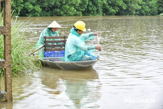 Mưa lớn khiến một ngôi làng ở Thanh Hóa bị cô lập nhiều ngày qua - Ảnh 9.