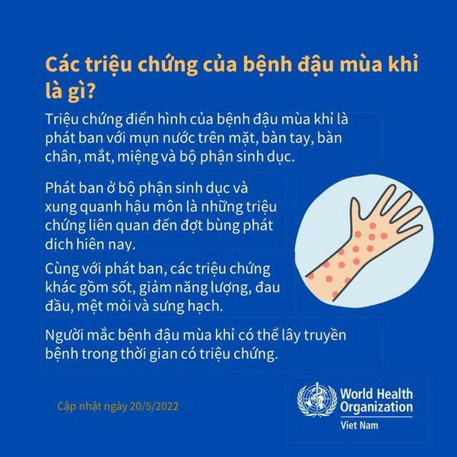 Ca mắc đậu mùa khỉ đầu tiên tại Việt Nam được phát hiện như thế nào? - Ảnh 3. Ca mắc đậu mùa khỉ đầu tiên tại Việt Nam được phát hiện như thế nào? - Ảnh 3.