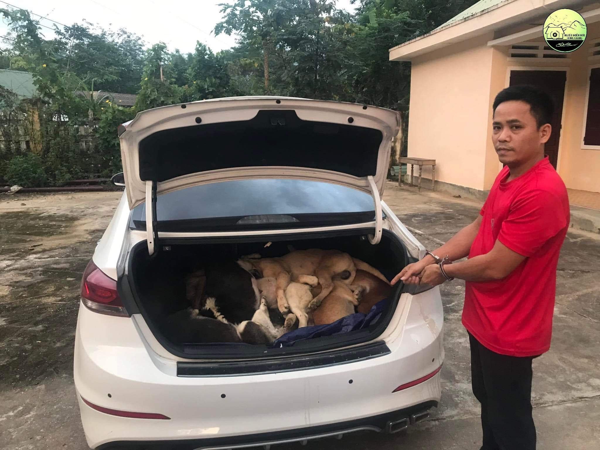 Đi xe con, trộm 38 con chó của người dân ở Quảng Nam - Ảnh 2.