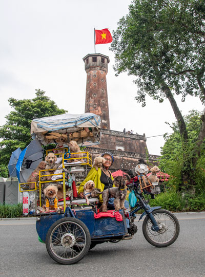 Hà Nội, tình yêu trong tôi - Ảnh 3.