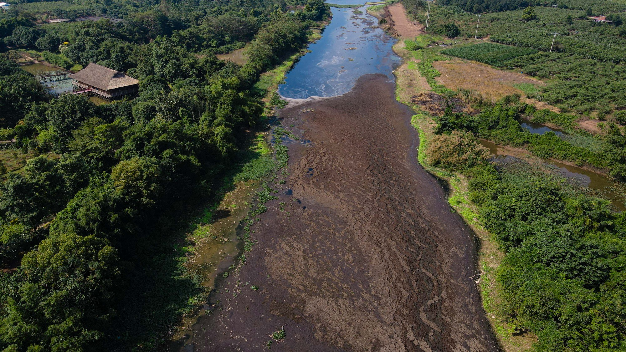 Cận cảnh 4 dòng sông chết được kỳ vọng hồi sinh - Ảnh 7.