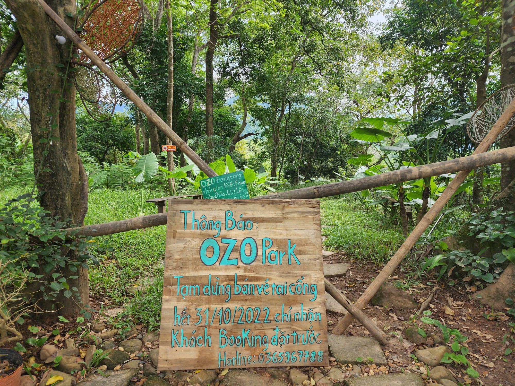 Cận cảnh thánh địa Ozo Park lấn chiếm hơn 3,6ha rừng phòng hộ Phong Nha - Kẻ Bàng - Ảnh 2.