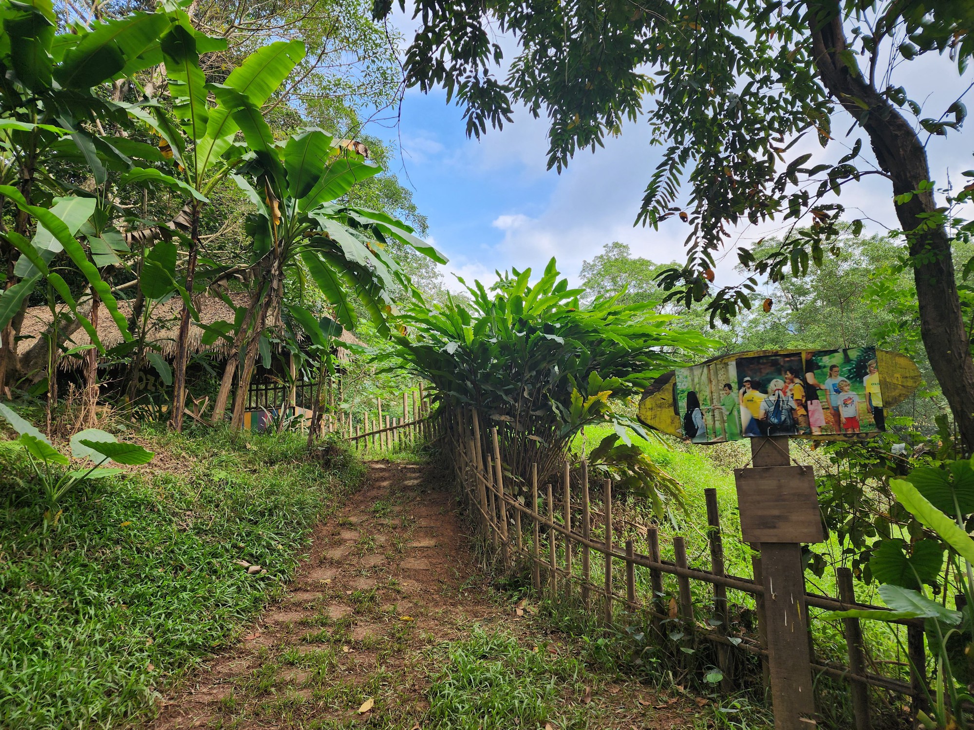 Cận cảnh thánh địa Ozo Park lấn chiếm hơn 3,6ha rừng phòng hộ Phong Nha - Kẻ Bàng - Ảnh 13.