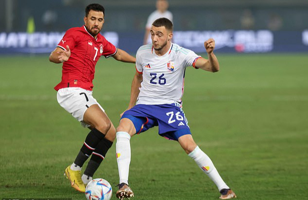 Thua giao hữu Ai Cập 1-2, Bỉ âu lo World Cup - Ảnh 3.