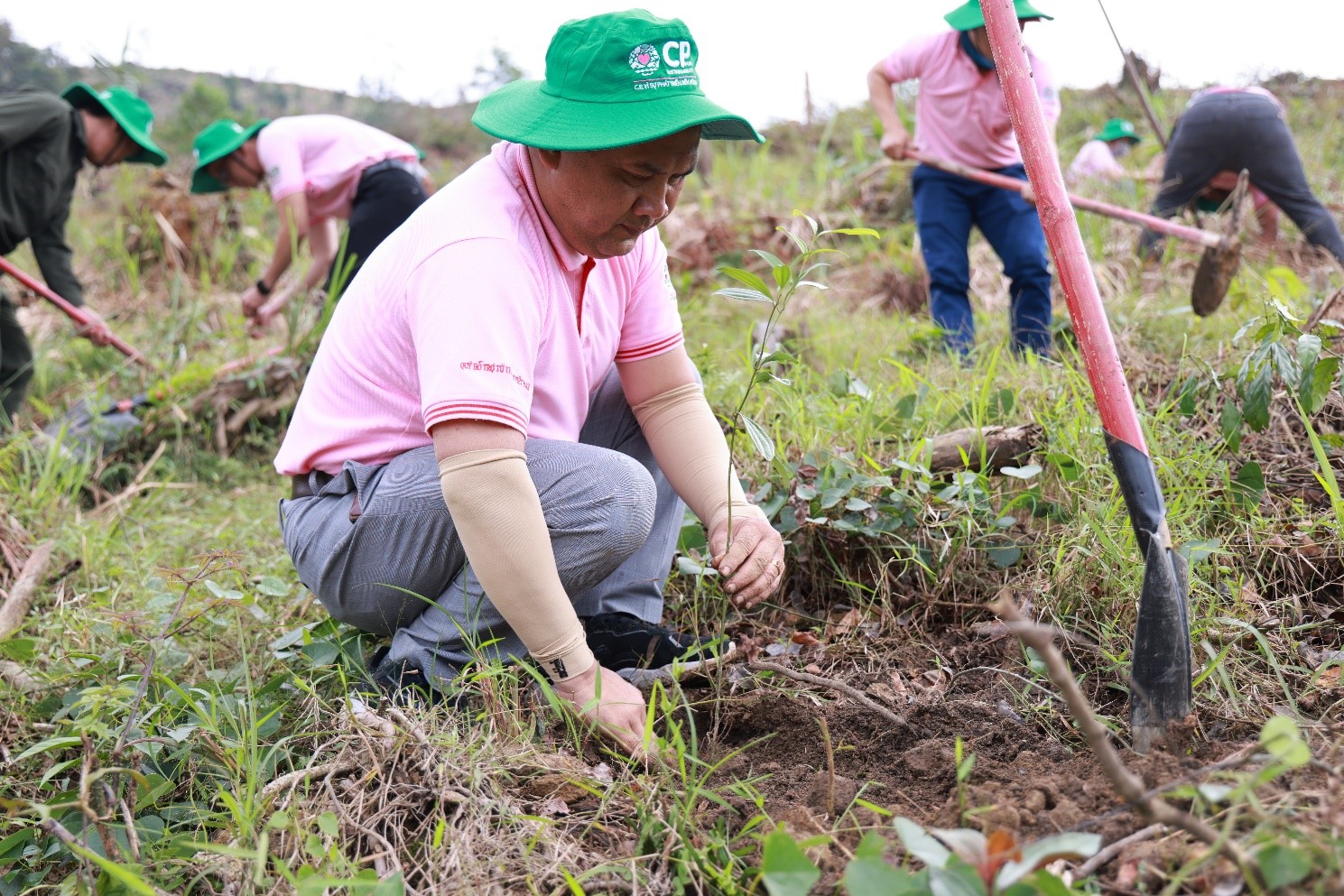 C.P. Việt Nam thực hiện “Hành trình vì một Việt Nam xanh” tại Thừa Thiên - Huế - Ảnh 3.