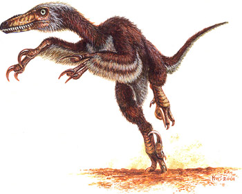 Phát hiện loài khủng long lai chim chưa từng biết ở Trung Quốc - Ảnh 2.