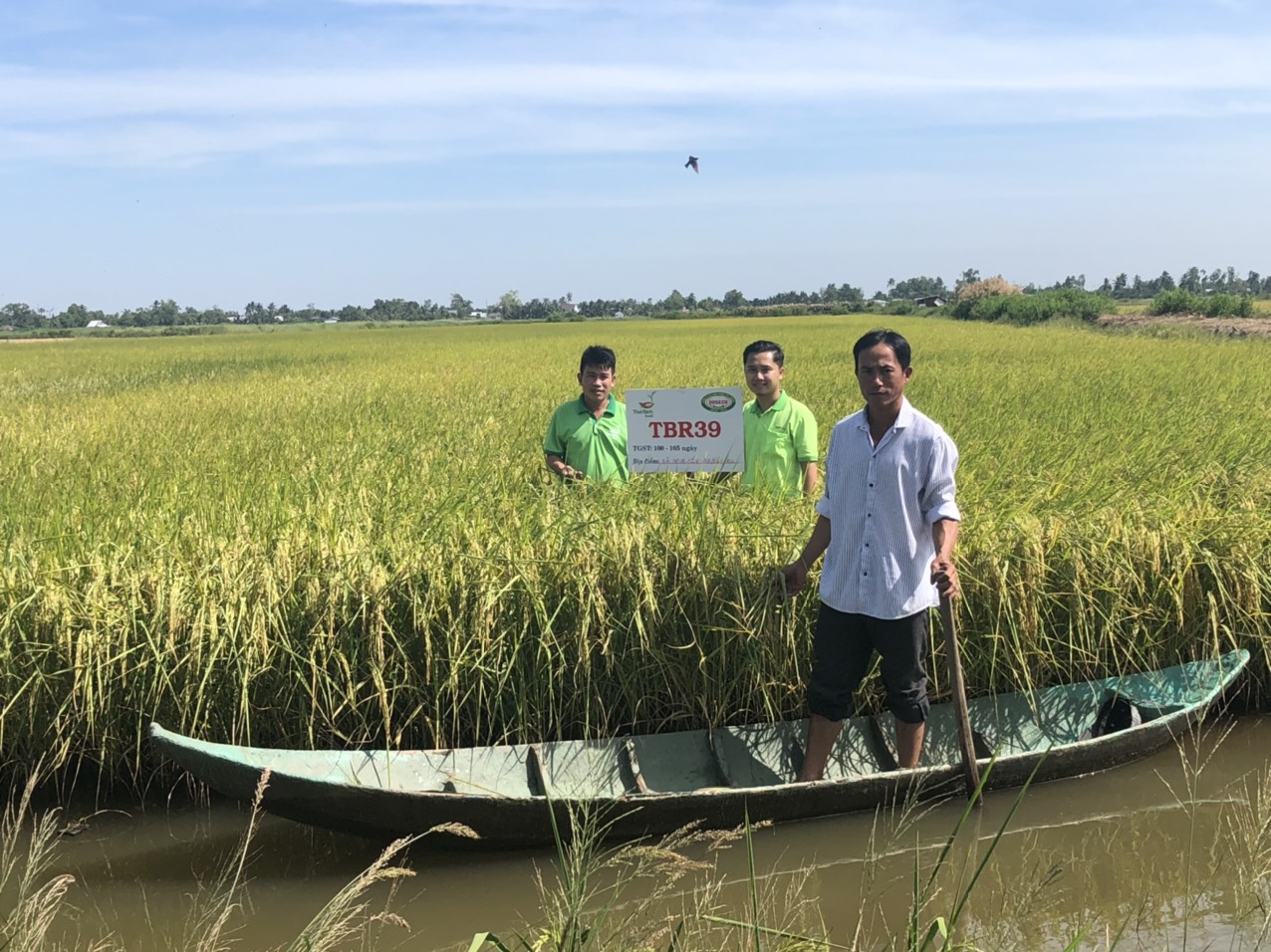 Thông tin bất ngờ về gạo “ngon nhất Việt Nam” năm 2022 - Ảnh 2.