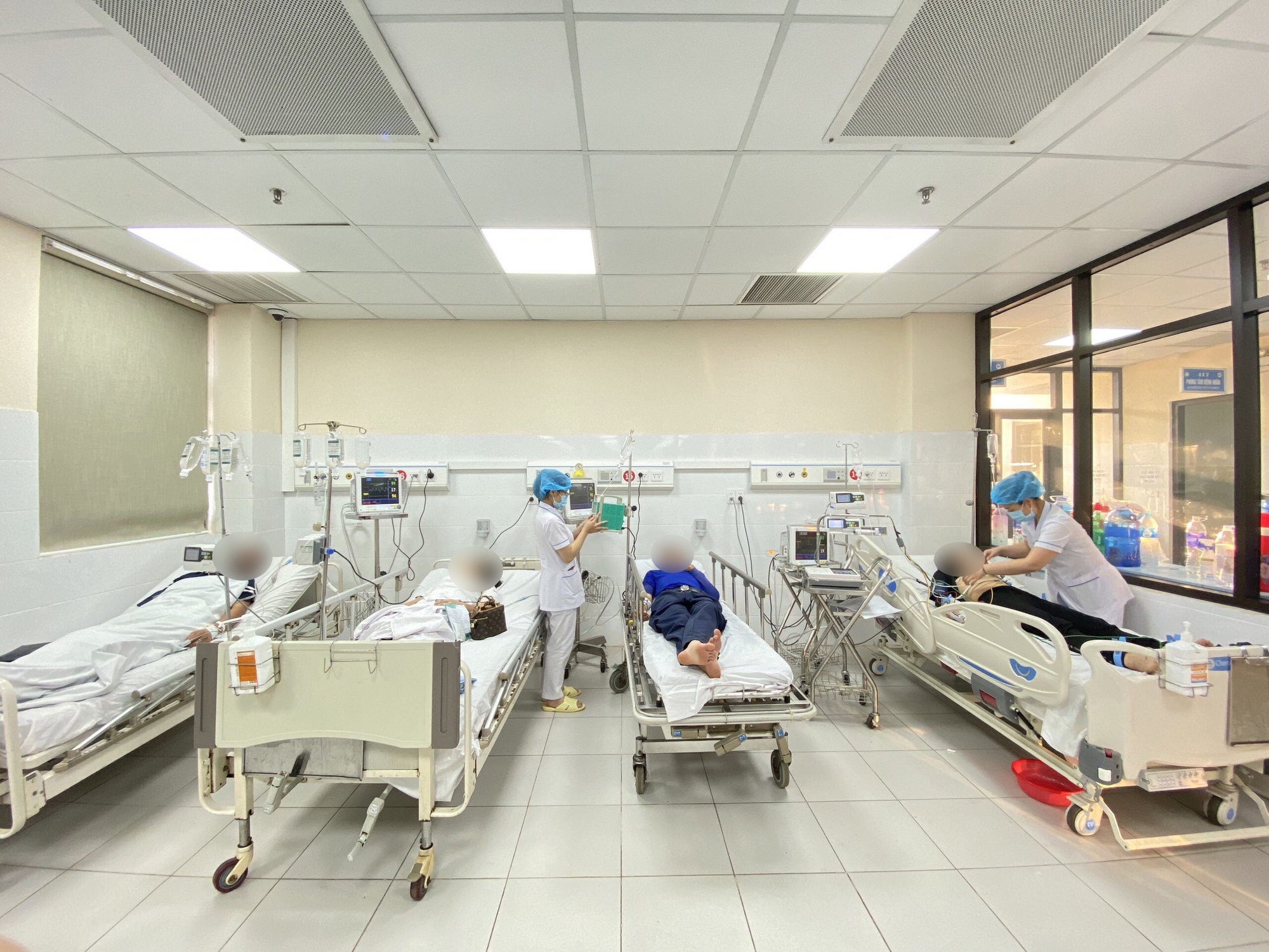 Đàn ong mật khổng lồ hàng ngàn con bất ngờ tấn công nhóm người chơi thể thao - Ảnh 1. Đàn ong mật khổng lồ hàng ngàn con bất ngờ tấn công nhóm người chơi thể thao - Ảnh 1.