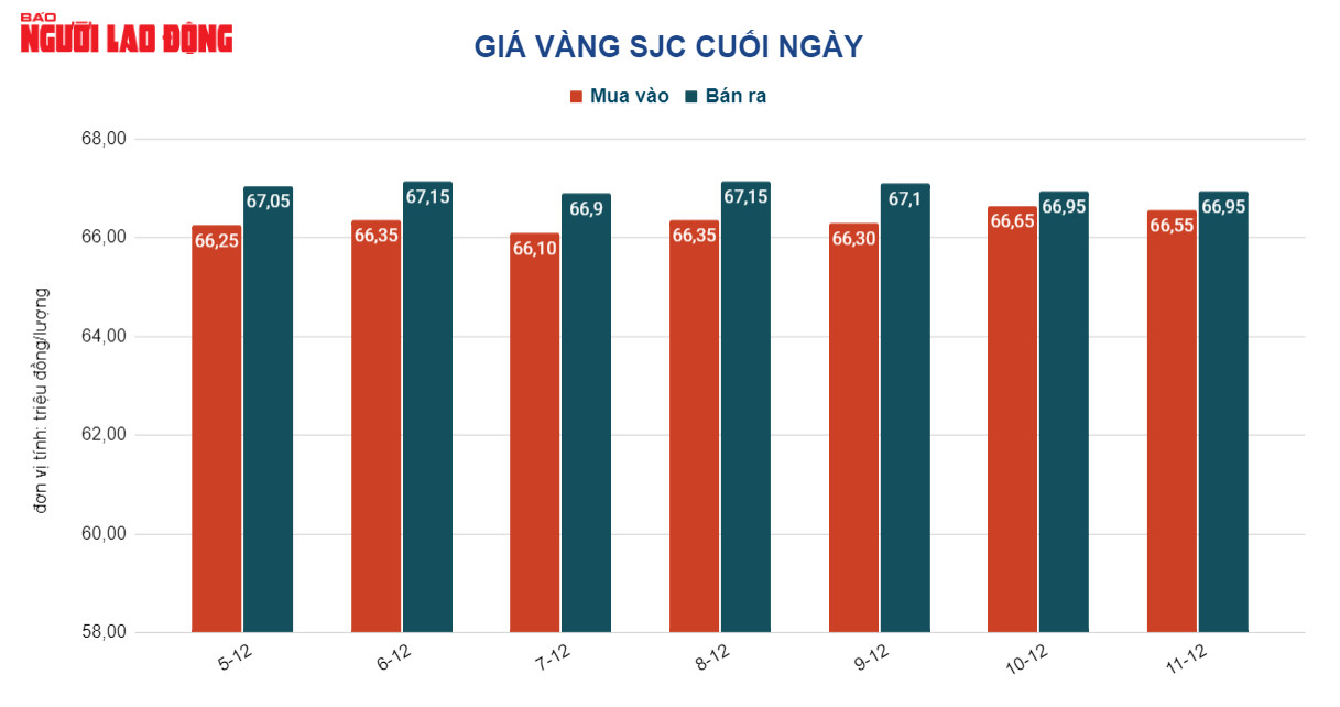 Giá vàng hôm nay 12-12: Vàng thế giới lao dốc, vàng SJC lại tăng - Ảnh 2.