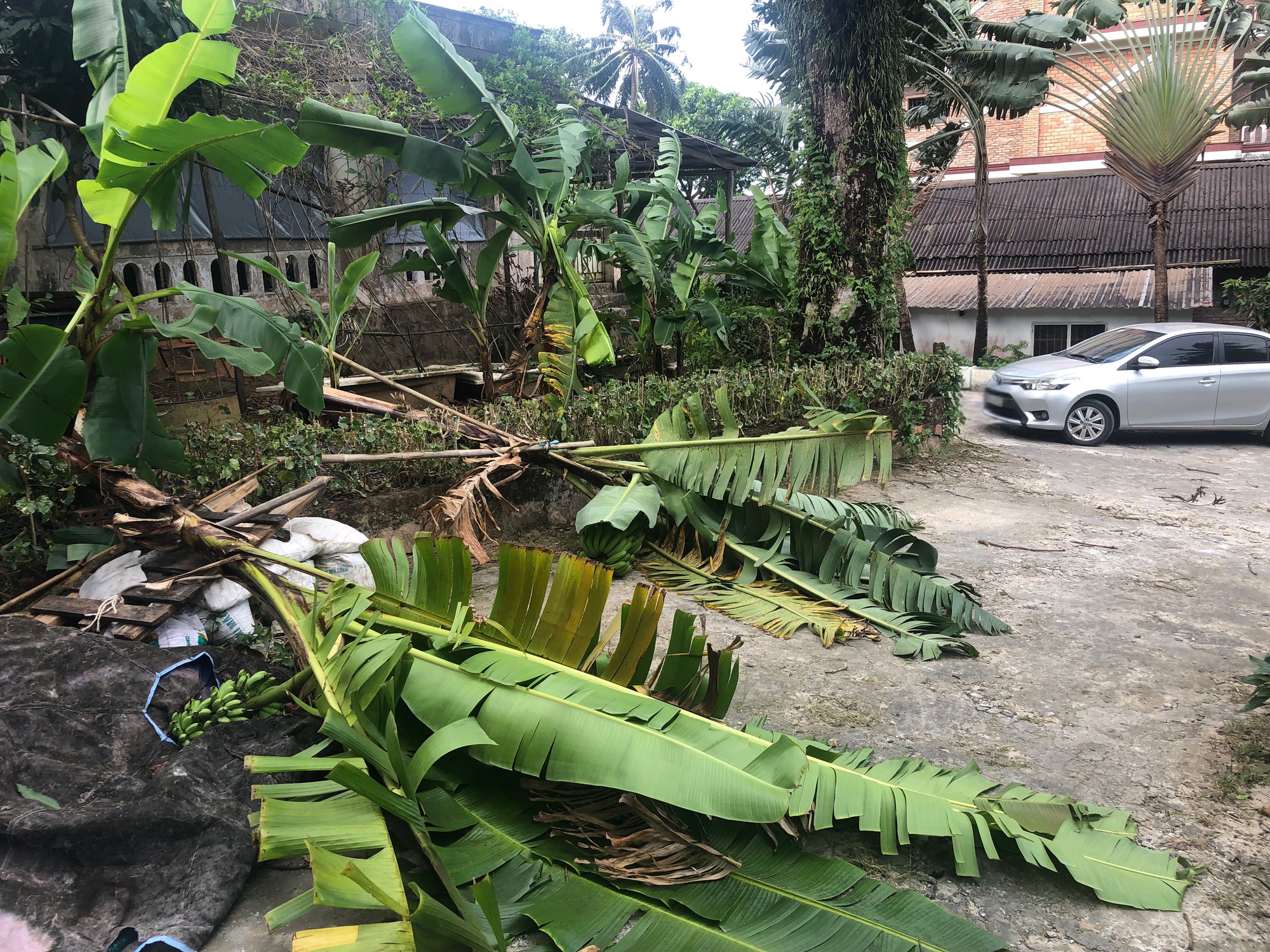 Phú Quốc: Tàu ngưng hoạt động, máy bay không hạ cánh được vì gió mạnh bất thường - Ảnh 3.