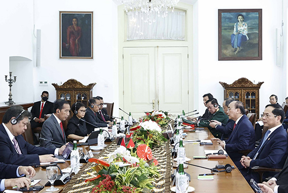 Việt Nam - Indonesia thúc đẩy thương mại - Ảnh 1.