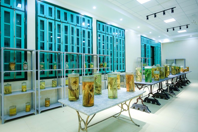 Thiếu nguồn xác hiến phục vụ nghiên cứu y học - Ảnh 2. Thiếu nguồn xác hiến phục vụ nghiên cứu y học - Ảnh 2.
