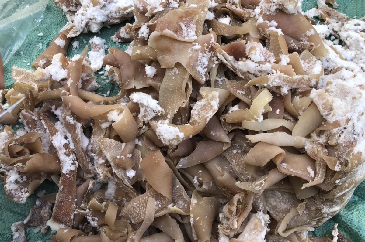 Bắt ôtô chở 1,4 tấn bì heo bốc mùi mang vào Thanh Hóa tiêu thụ - Ảnh 2.