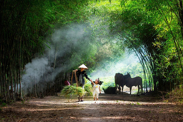 Làng quê Việt Nam đẹp như một bức tranh tuyệt đẹp. Những cánh đồng lúa chín vàng, những dãy núi non hùng vĩ, cùng với những ngôi nhà cổ kính mang trên mình nét đẹp văn hoá đặc trưng của Việt Nam. Bức tranh này sẽ gợi mở cho bạn về một miền đất đẹp, về một tuổi thơ và văn hoá đa dạng.