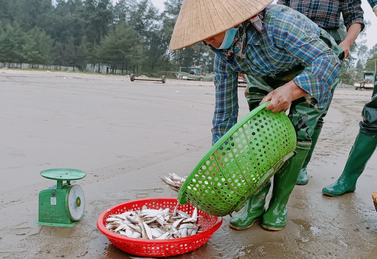 Ngư dân đón lộc biển đầu năm, tàu cứ cập bờ là cháy hàng - Ảnh 8.