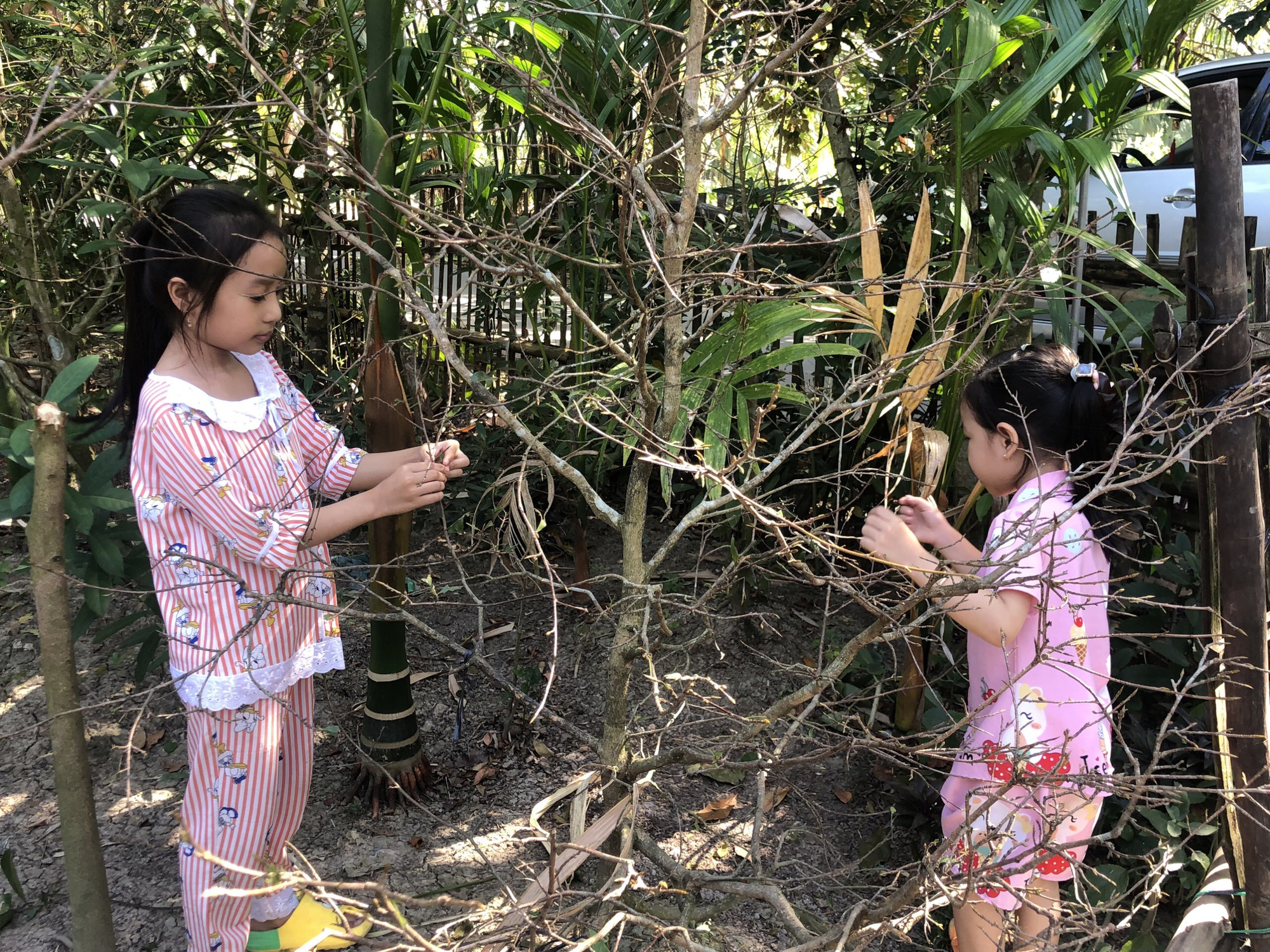 Thăm lại 3 đứa trẻ mồ côi cha mẹ sau vụ tai nạn thương tâm - Ảnh 6.