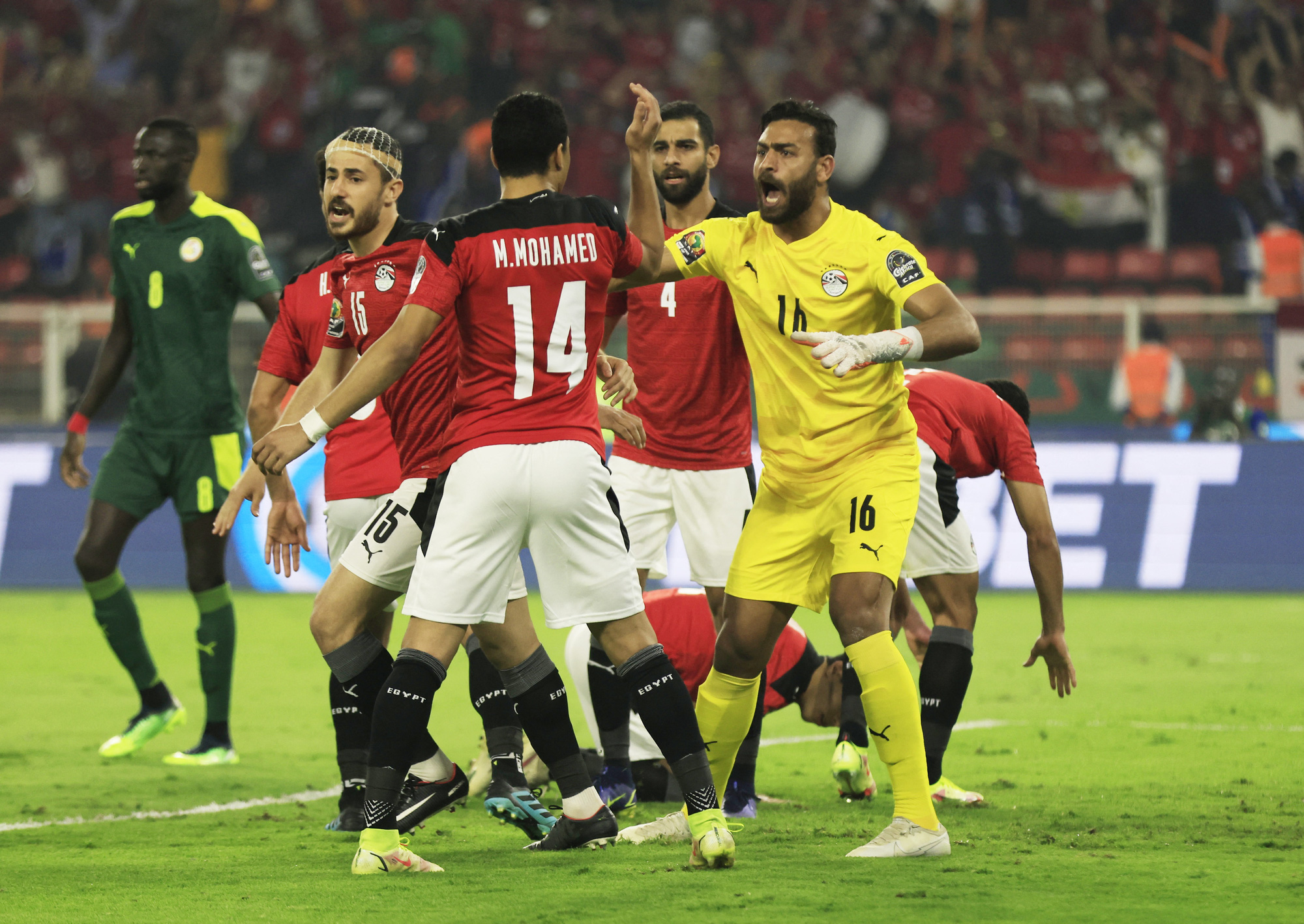 Ai Cập nộp đơn khiếu nại lên FIFA vì sự cố phân biệt chủng tộc ở Senegal