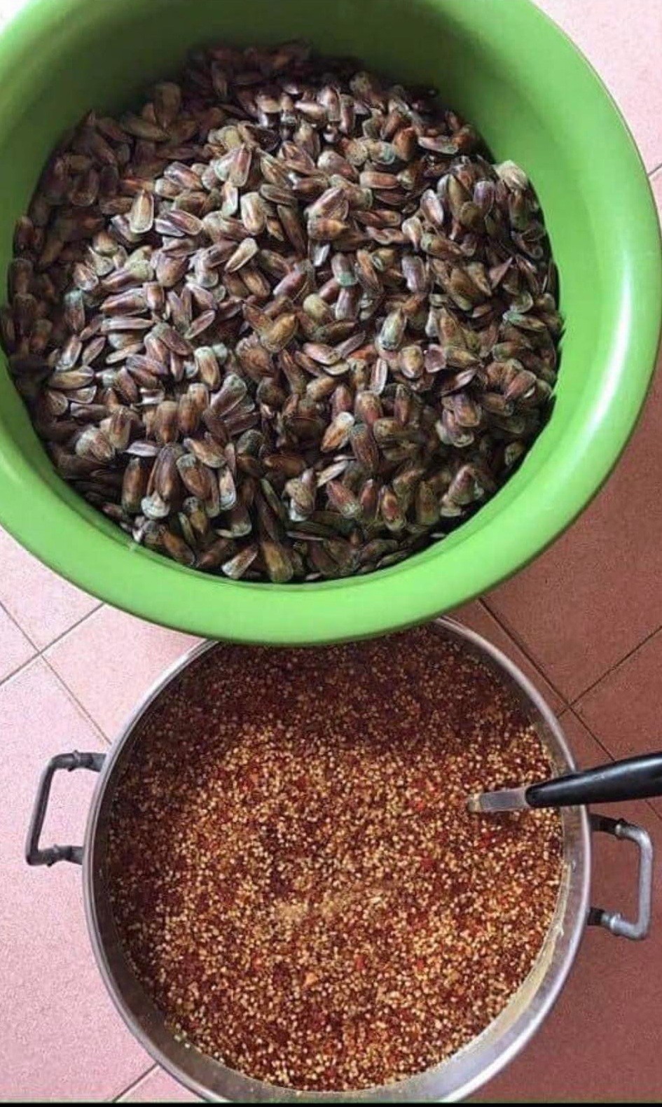 Con... Cà xỉu, một đặc sản của xứ Hà Tiên.....! - Ảnh 2.